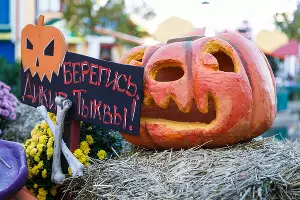  &copy;&nbsp;Фото пресс-службы &laquo;Сочи Парка&raquo;