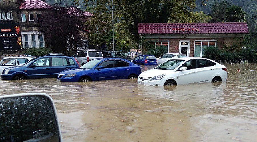  &copy;&nbsp;Фото Telegram-канала &laquo;Любимый Сочи&raquo;, t.me/love_sochi