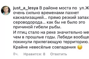  &copy;&nbsp;Комментарии в инстаграме газеты &laquo;РВС&raquo;, instagram.com/gazetarvs