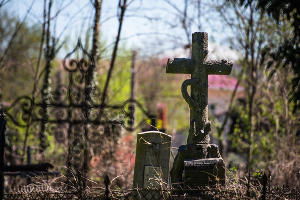 Всесвятское кладбище Краснодара © Фото Елены Синеок, Юга.ру
