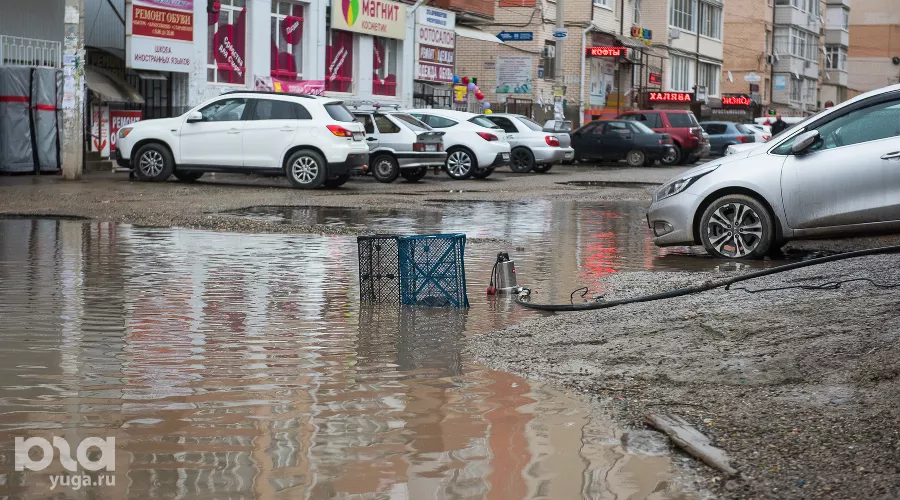  &copy;&nbsp;Фото Елены Синеок, Юга.ру