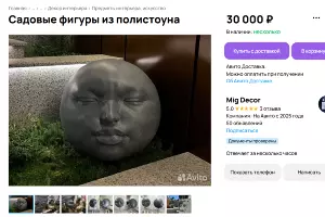  &copy;&nbsp;скриншот с сайта Авито