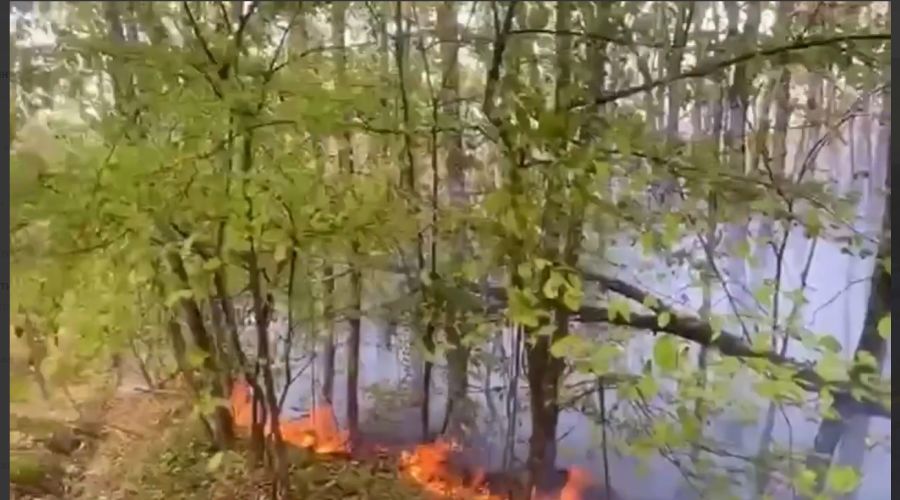  © Скриншот из телеграм-канала «МЧС Краснодарского края» https://t.me/mchs_kuban/4662