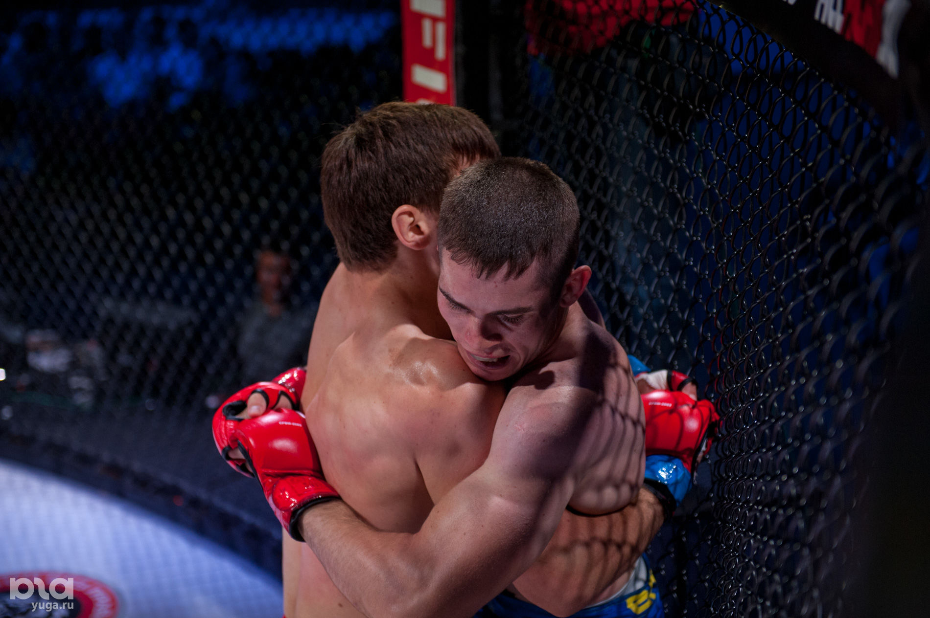 Дагестан единоборства. Первенство кузбасса по смешанному боевому единоборству мма. Клуб единоборств объявляет набор. Смешанные единоборства махачкала. Смешанные единоборства махачкала.