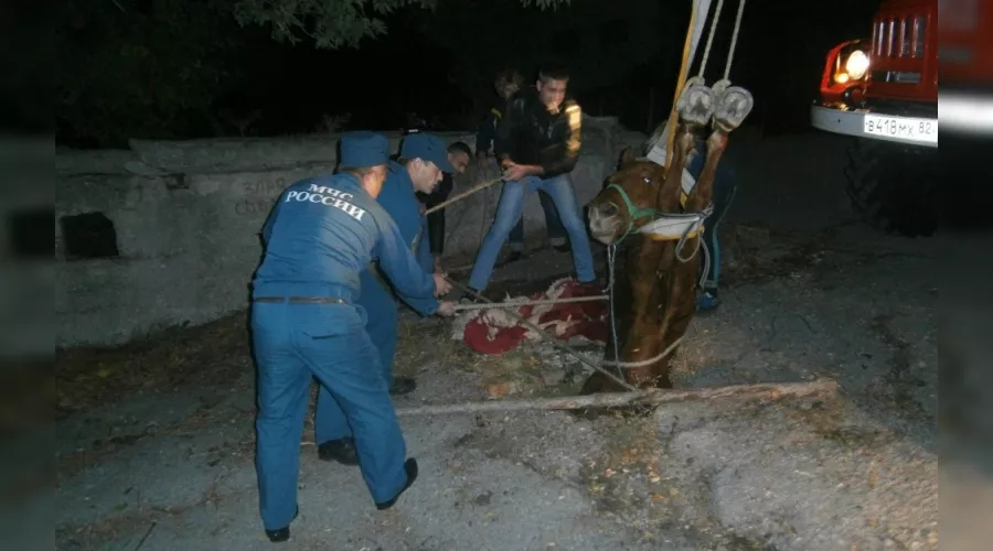  &copy;&nbsp;Фото пресс-службы ГУ МЧС РФ по Республике Крым