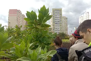  &copy;&nbsp;Фото Яры Гуляевой, Юга.ру