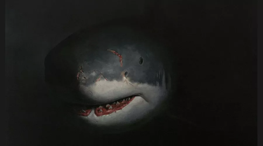 Работа Василия Карпенко &copy;&nbsp;Скриншот фото из письма от пресс-службы Краснодарского краевого выставочного зала