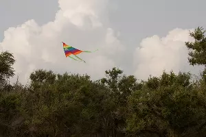 Квир-фестиваль «Черноморье-2017» &copy;&nbsp;Фото предоставлено организатором фестиваля