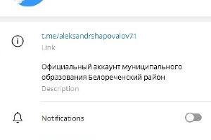  © Скриншот t.me/aleksandrshapovalov71