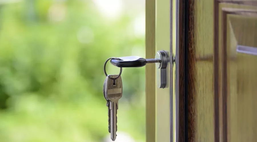  &copy;&nbsp;Фото с сайта pixabay.com