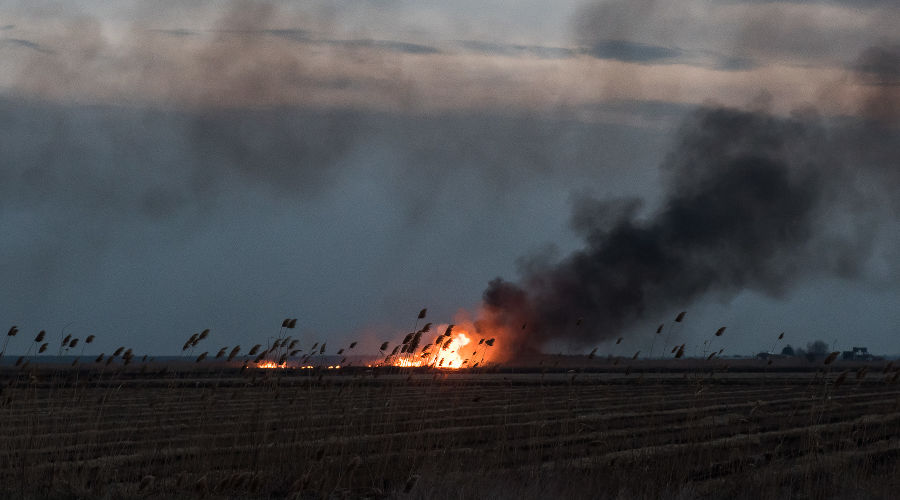  © Фото Елены Синеок, Юга.ру