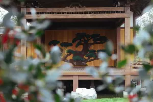 Японский сад &copy;&nbsp;Антон Быков, Юга.ру