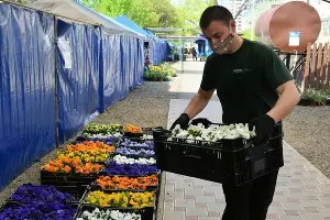  &copy;&nbsp;Фото пресс-службы администрации Краснодара