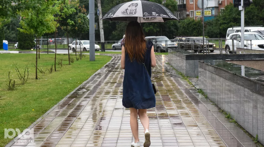  &copy;&nbsp;Фото Елены Синеок, Юга.ру