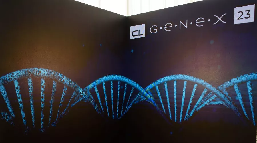  &copy;&nbsp;Фото Роберта Оганесяна, предоставлено  пресс-службой CL LAB