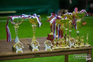  &copy;&nbsp;Фото из группы &laquo;SPORTEGO CUP&raquo; &laquo;ВКонтакте&raquo;, vk.com/sportegocup