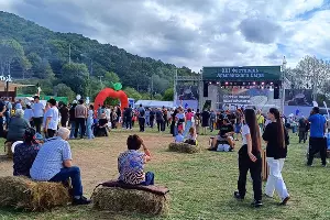  &copy;&nbsp;Фото Иолины Грибковой, Юга.ру