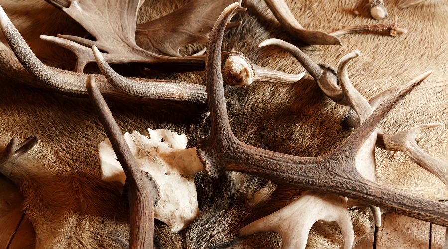  © Фото с сайта pixabay.com