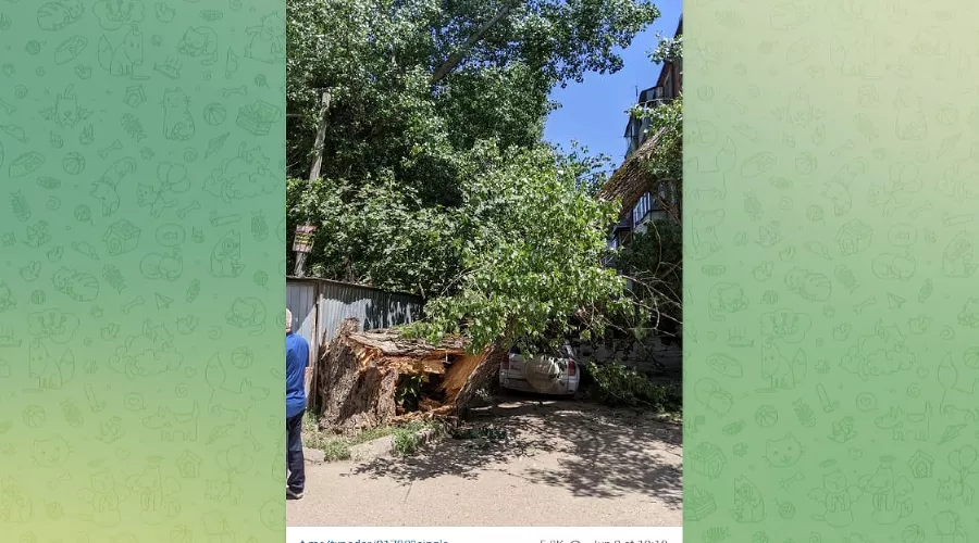  &copy;&nbsp;Скриншот из телеграм-канала &laquo;Туподар Краснодар&raquo;, t.me/typodar