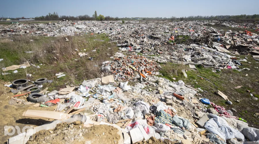  &copy;&nbsp;Фото Елены Синеок, Юга.ру