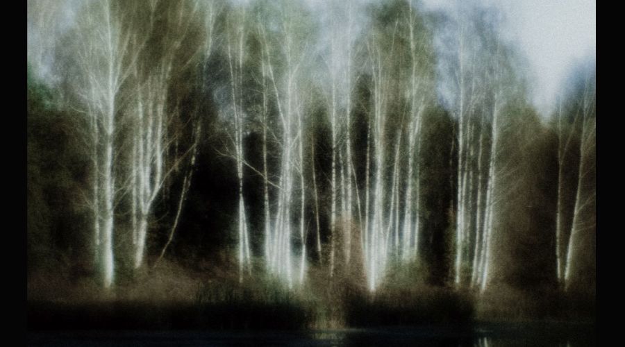  &copy;&nbsp;Скриншот из электронного письма от пресс-службы Краснодарского краевого выставочного зала