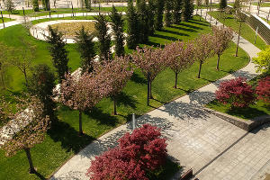 Парк «Краснодар» © Фото Евгения Таранжина, Юга.ру