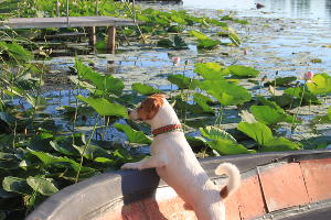  © Фото Марины Солошко, Юга.ру