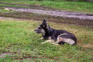 Последствия ливня на улице Московской &copy;&nbsp;Фото Дмитрия Пославского, Юга.ру