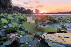  &copy;&nbsp;Фото Марины Солошко, Юга.ру