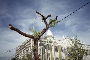  &copy;&nbsp;Фото Александра Гончаренко, Юга.ру