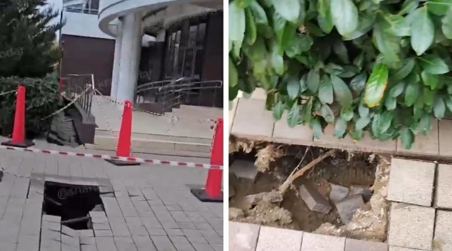  © Скриншот видео из телеграм-канала «Типичный Краснодар» https://t.me/krd_tipich_ru/78550