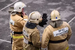  &copy;&nbsp;Фото Елены Синеок, Юга.ру