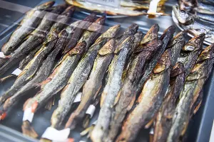  &copy;&nbsp;Фото: Елена Синеок, Юга.ру