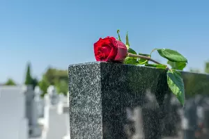  &copy;&nbsp;Фото Serdjo Photo, freepik.com