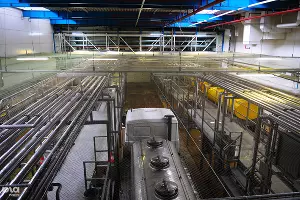 Запуск производства "Школьного молока" Danone-Юнимилк в Лабинске  &copy;&nbsp;Елена Синеок, ЮГА.ру