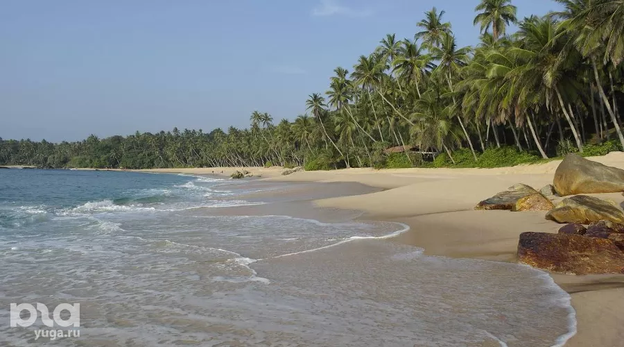 На Шри-Ланке &copy;&nbsp;Фото Иолины Грибковой, Юга.ру