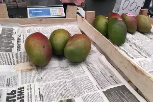 Уцененные овощи и фрукты на Кооперативном рынке 15.8.2023 &copy;&nbsp;Фото Александра Гончаренко, Юга.ру