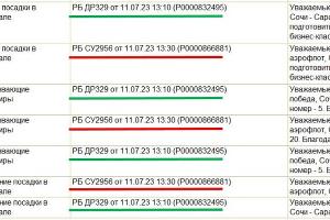  © скриншот, опубликованный пресс-службой аэропорта Сочи