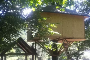  &copy;&nbsp;Фото Максима Богатырева