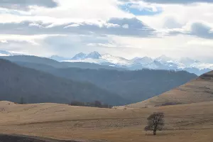 Домбай &copy;&nbsp;Фото Анны Петровой, Юга.ру