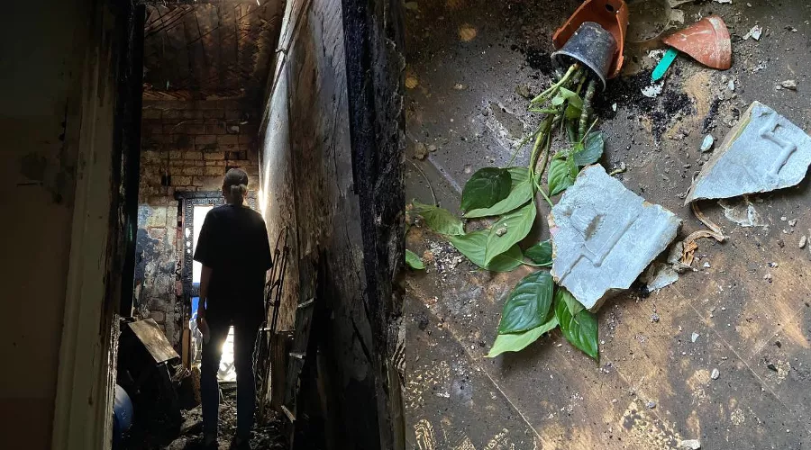  &copy;&nbsp;Скриншот из телеграм-канала https://t.me/rastenishnaya