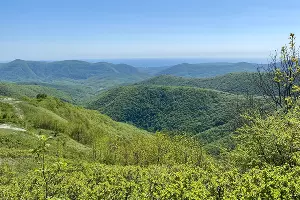  &copy;&nbsp;Фото предоставлено пресс-службой администрации Геленджика