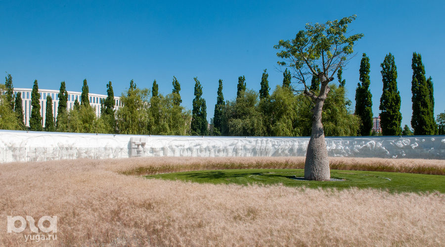 Бутылочное дерево на фоне скульптурной композиции «Искусственная среда» в парке «Краснодар» &copy;&nbsp;Фото Дмитрия Пославского, Юга.ру