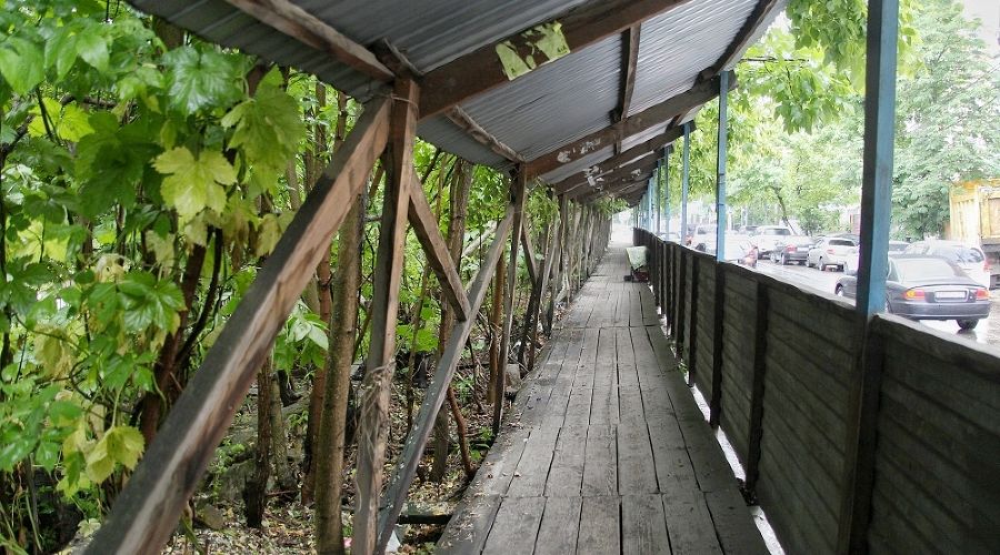  © Фото пресс-службы администрации Краснодара