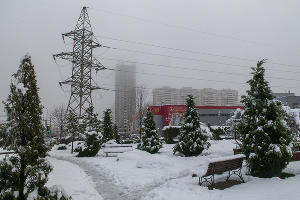  © Фото Дмитрия Пославского, Юга.ру