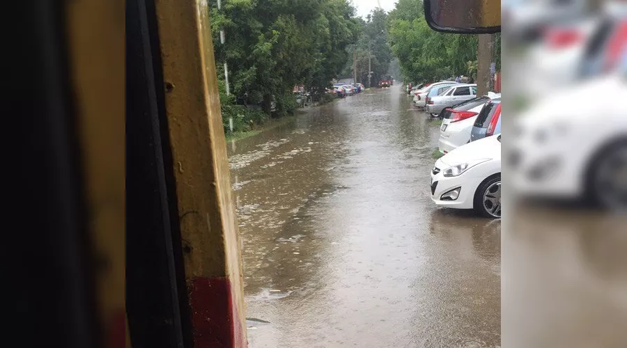  &copy;&nbsp;Фото из аккаунта в Instagram, instagram.com/tipich_krd