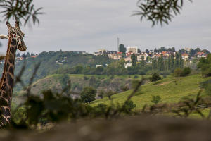 Прага © Фото Виктора Мальчевского