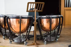  &copy;&nbsp;Фото Елены Синеок, Юга.ру