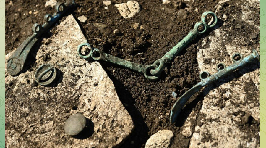 Находки из кургана «Азишский-69» &copy;&nbsp;Скриншот публикации в телеграм-канале Мурата Кумпилова, t.me/muratkumpilov