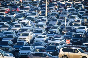  &copy;&nbsp;Фото Елены Синеок, Юга.ру